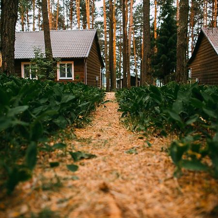 Duck Lake Polatsk Exterior photo