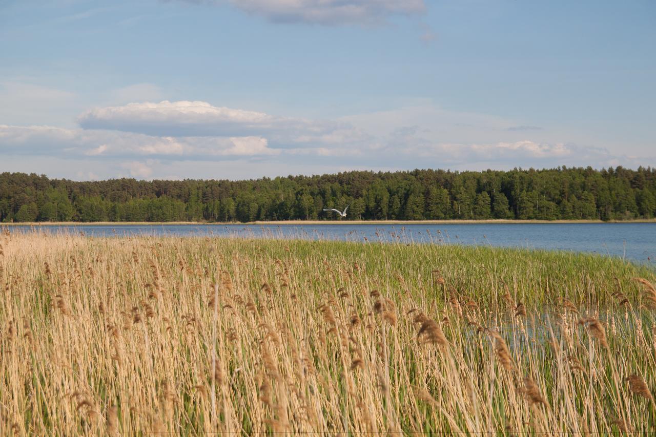 Duck Lake Polatsk Exterior photo